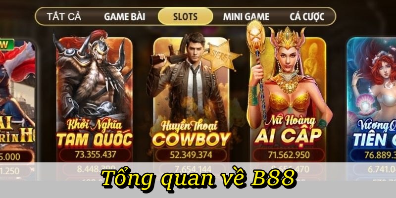 Tổng quan về B88
